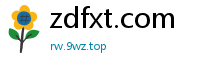 zdfxt.com